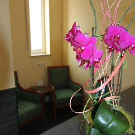 Residenz Stockstadt Hotel 3*