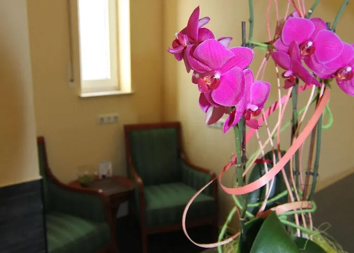 Residenz Stockstadt Hotel 3*